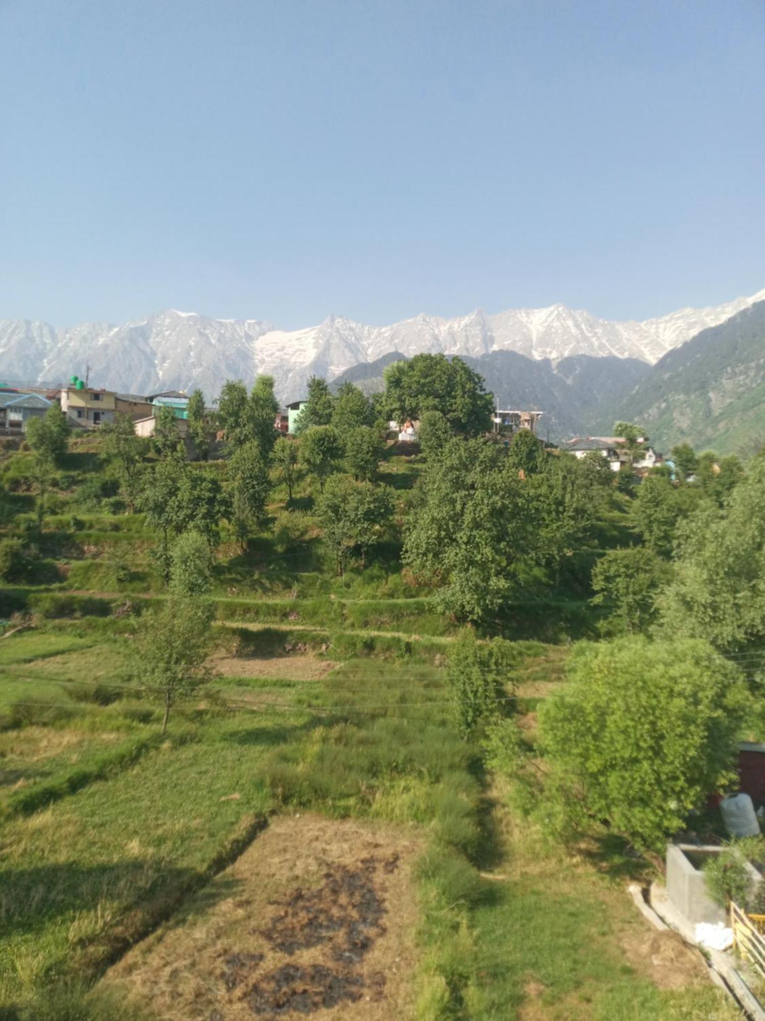 Nirmal Homestay Dharamshala Quarto foto
